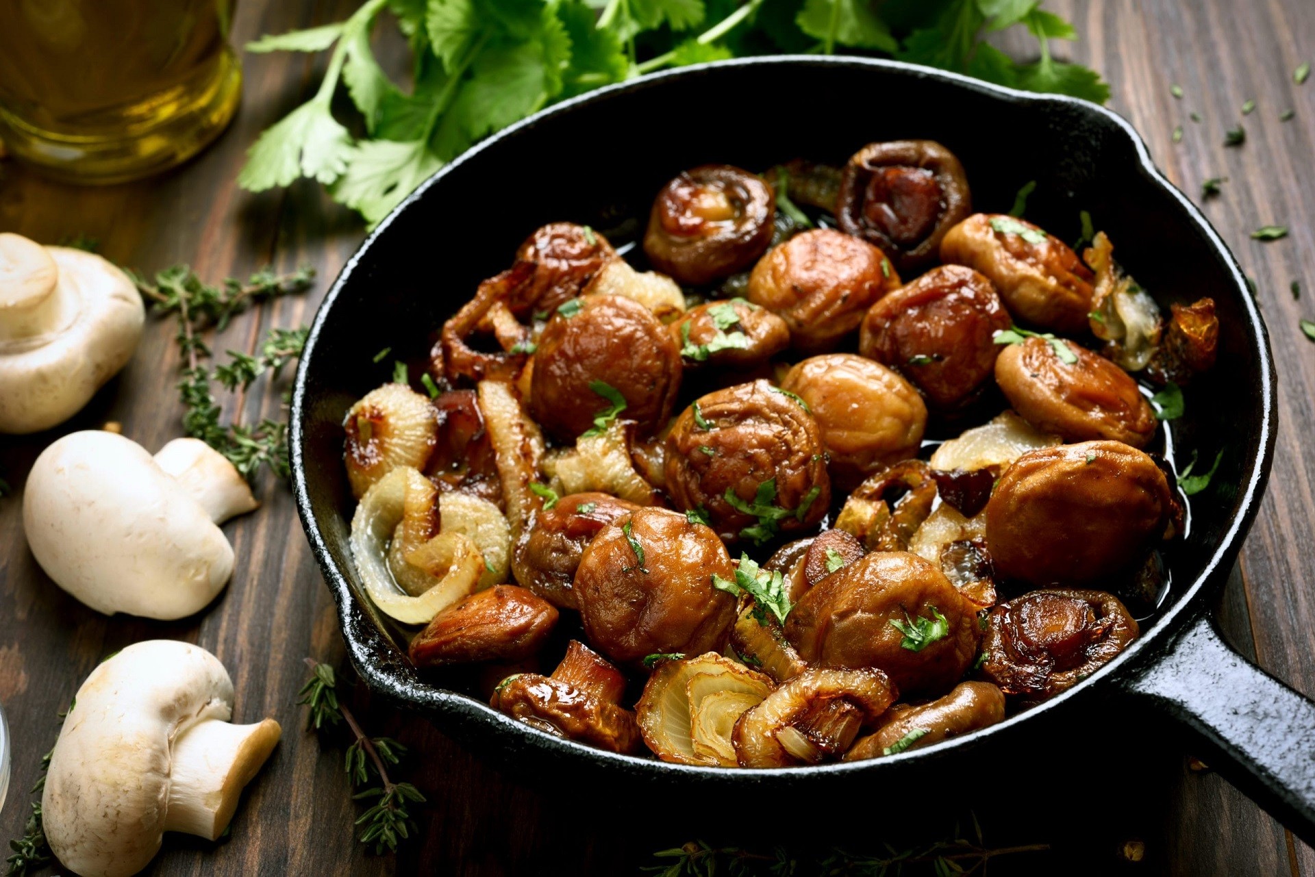 Грибы рецепты приготовления. Жареные грибы. Блюда с грибами. Красивые блюда из грибов. Жареные грибочки.
